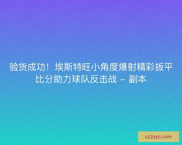 验货成功！埃斯特旺小角度爆射精彩扳平比分助力球队反击战 - 副本